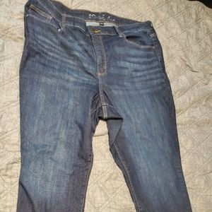 Universal Thread Plus Size Denim Jeans Womens 18WR Blue Skinny